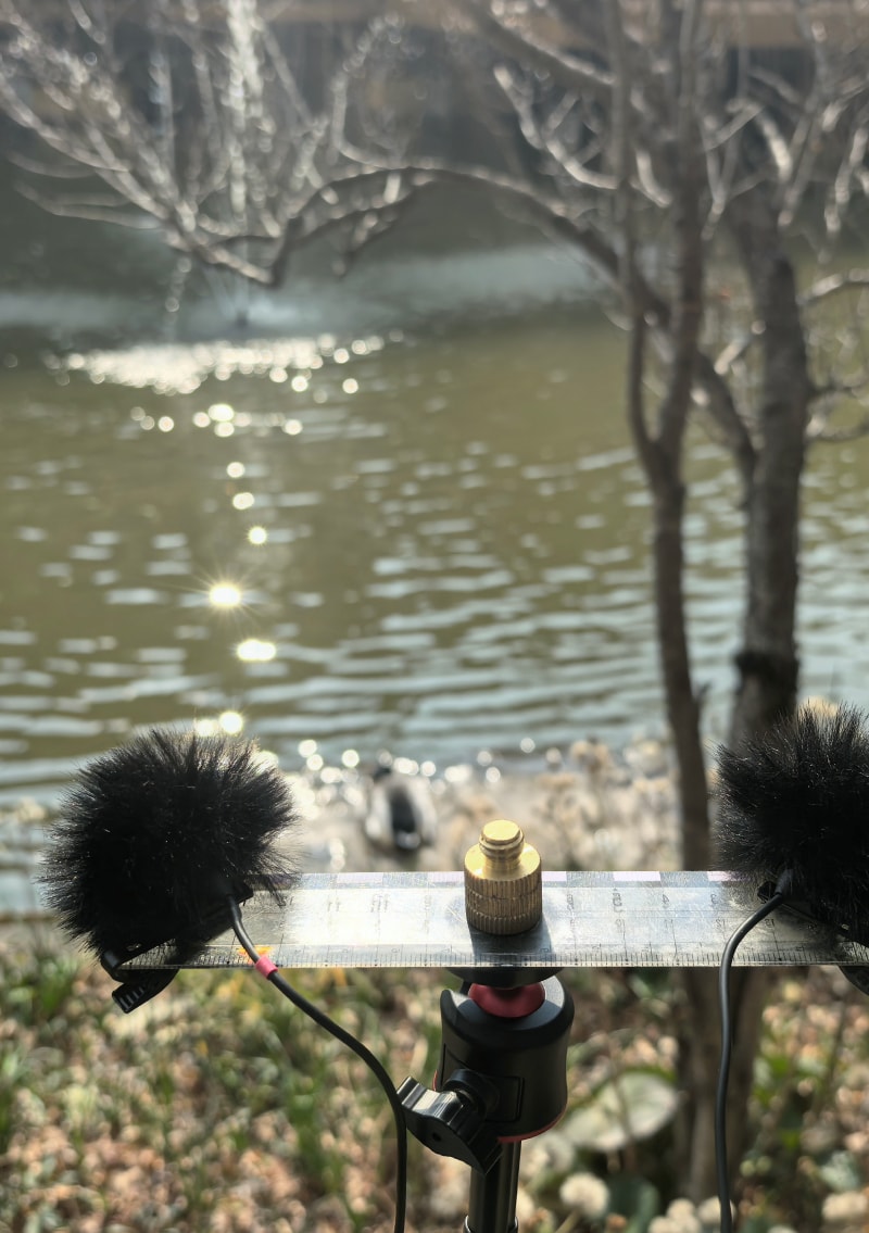 Recordings (yīn) : Zen Lu