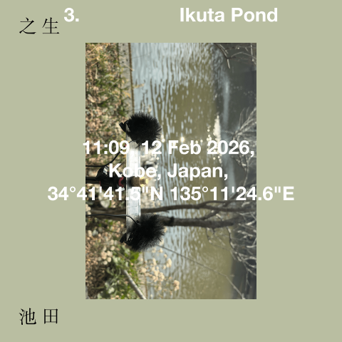 Ikuta Pond