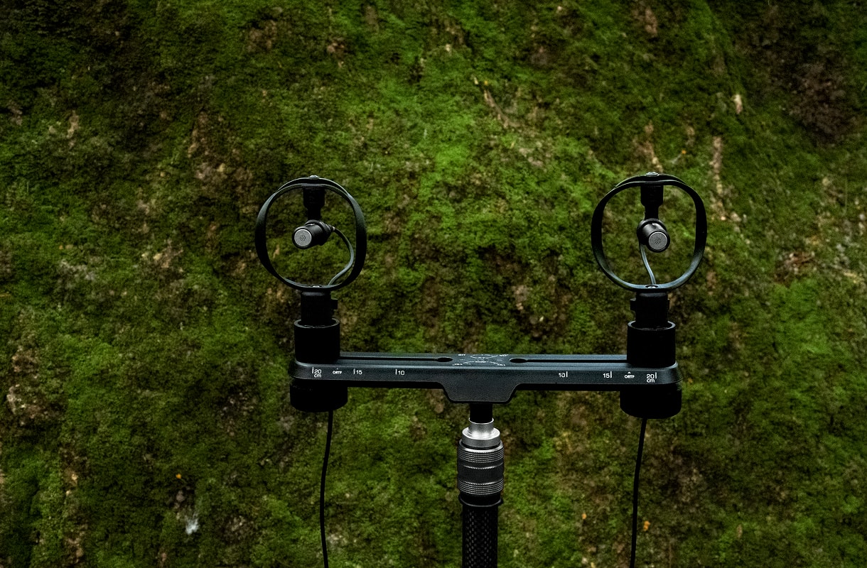 dze. Microphone 10mm (guān yīn)