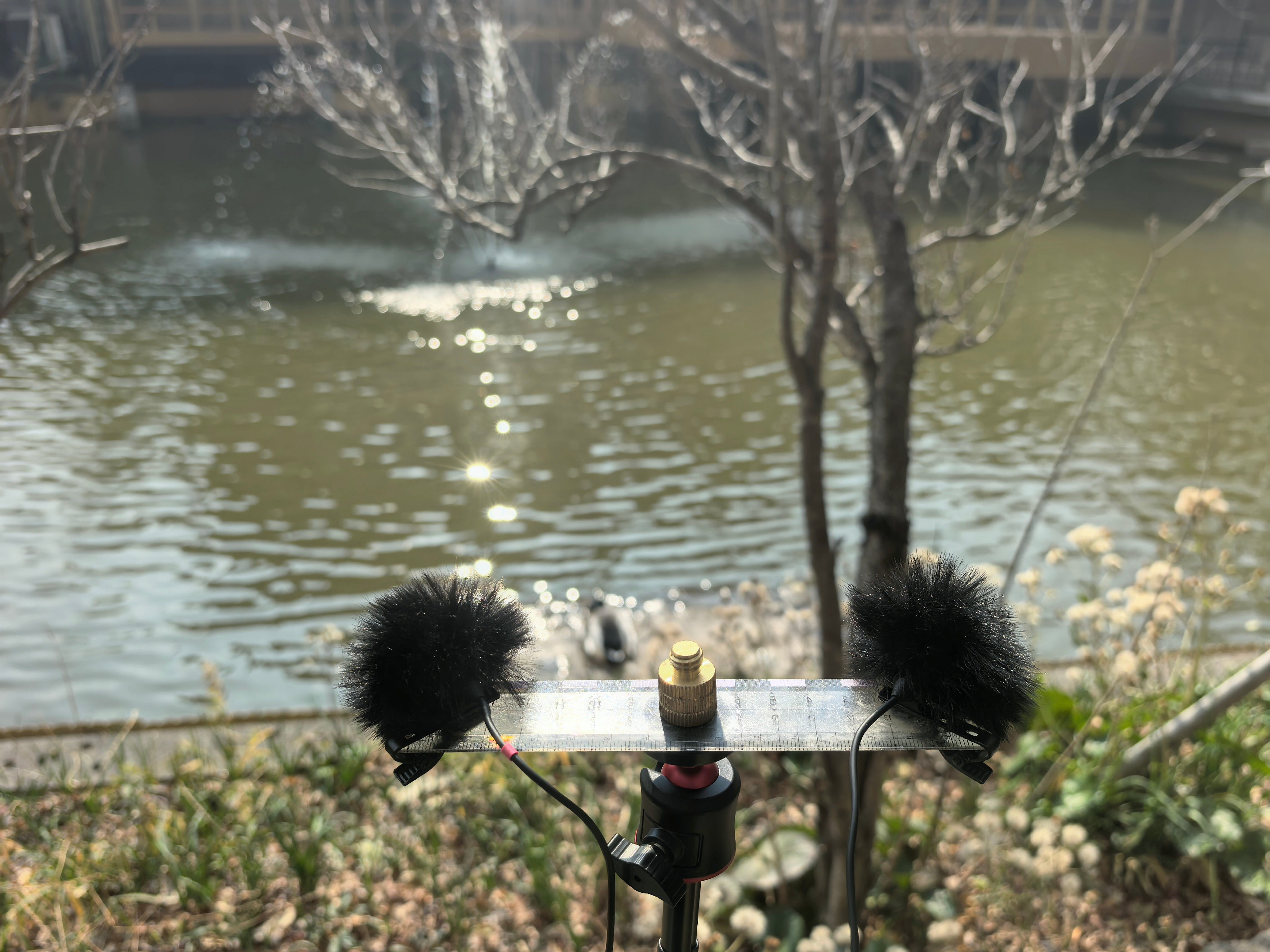 Field recording by the water